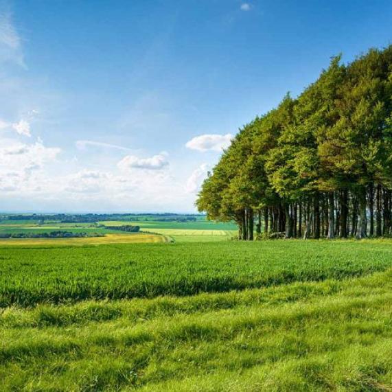 Berkshire Hackpen Hill 800x500