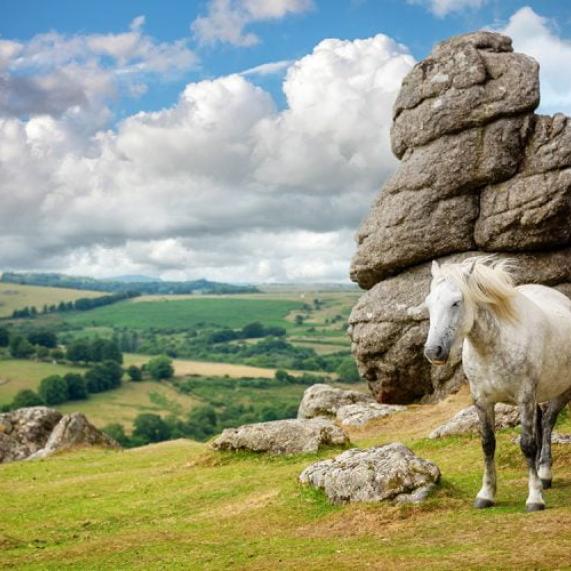 Dartmoor Devon 800x500