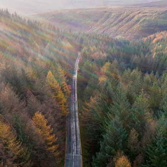 Derbyshire National Forest