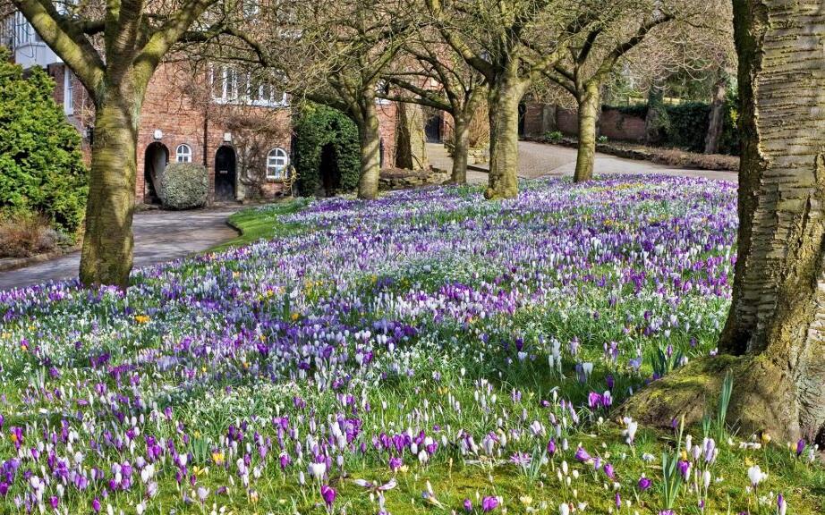 Didsbury 15