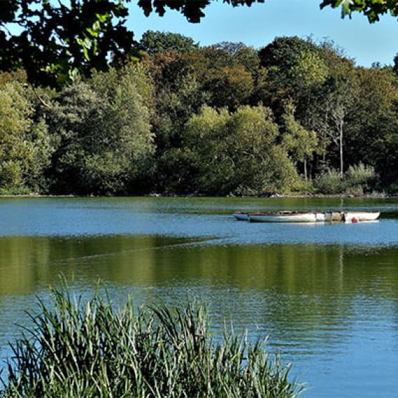Essex Harfield Forest