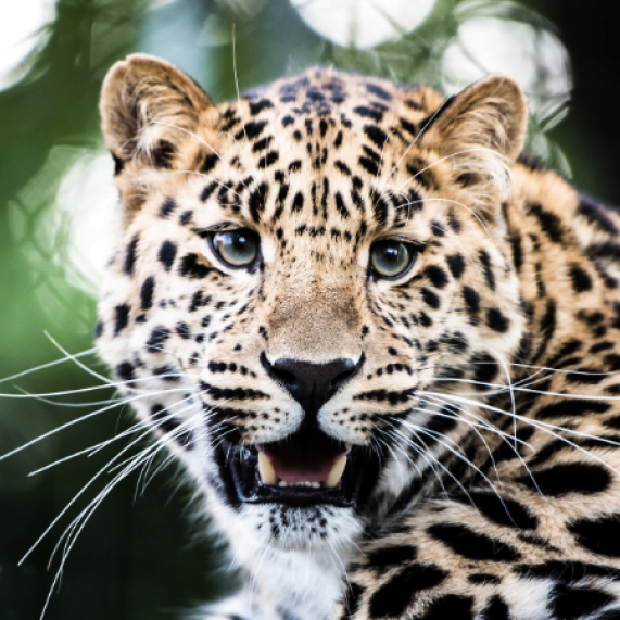 Hampshire Marwell