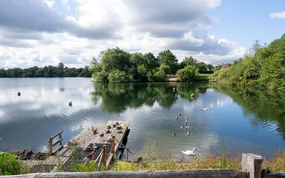 Larkfield 17