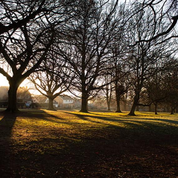 Northamptonshire Abington Park