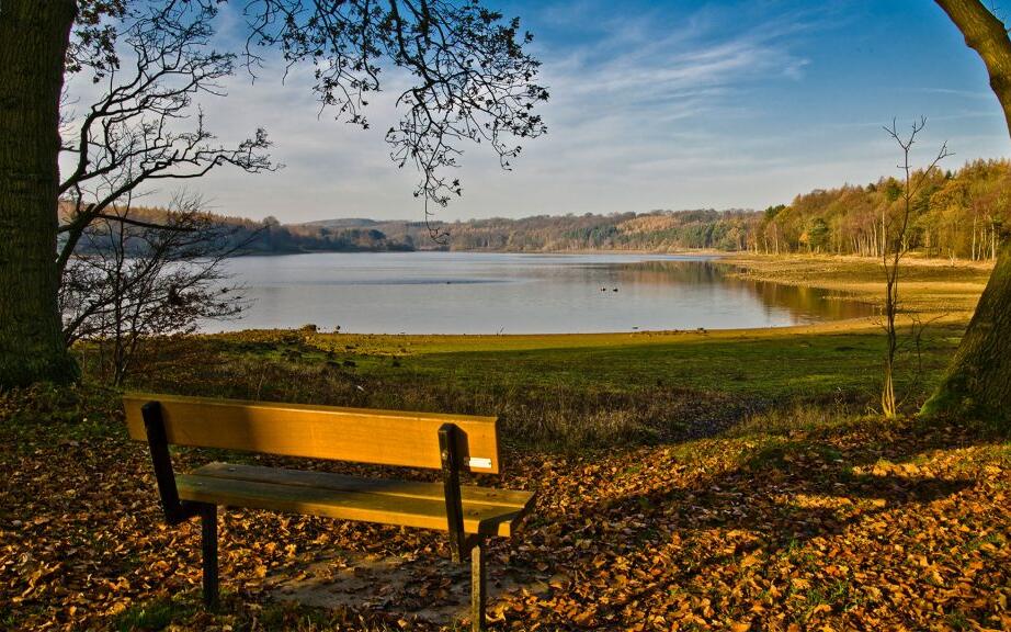 Otley 18