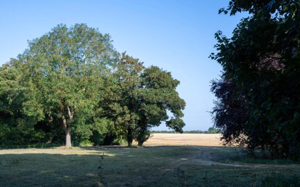 Pearce Lodge 18