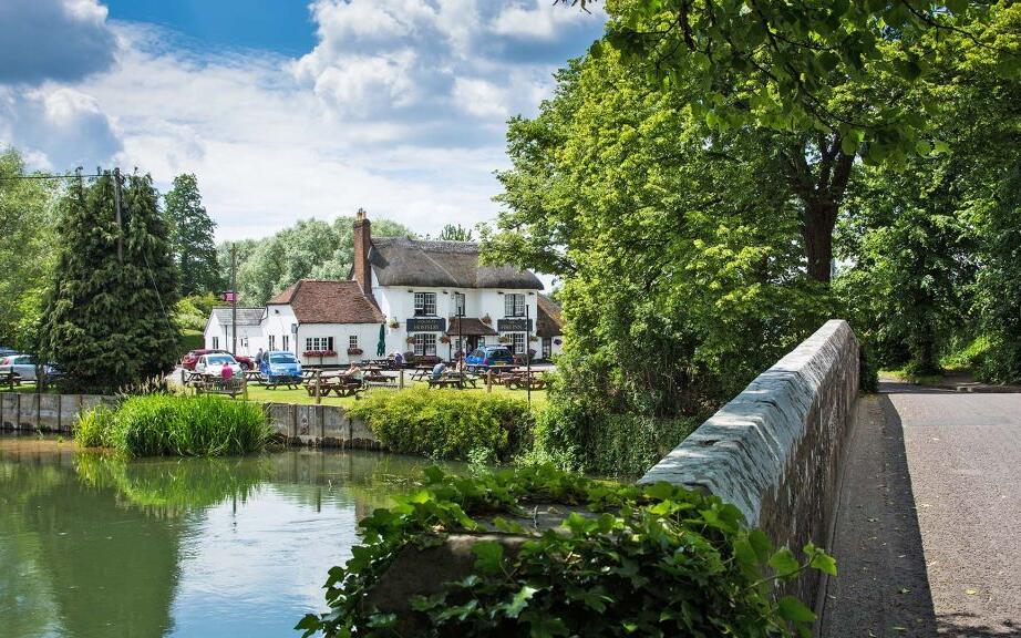 Ringwood 15