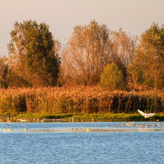Rodley Nature Reserve