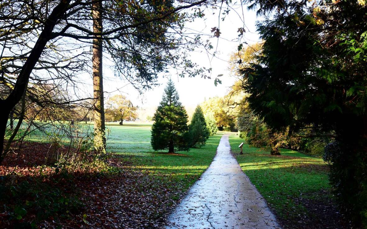 Kings norton park 1920x1080
