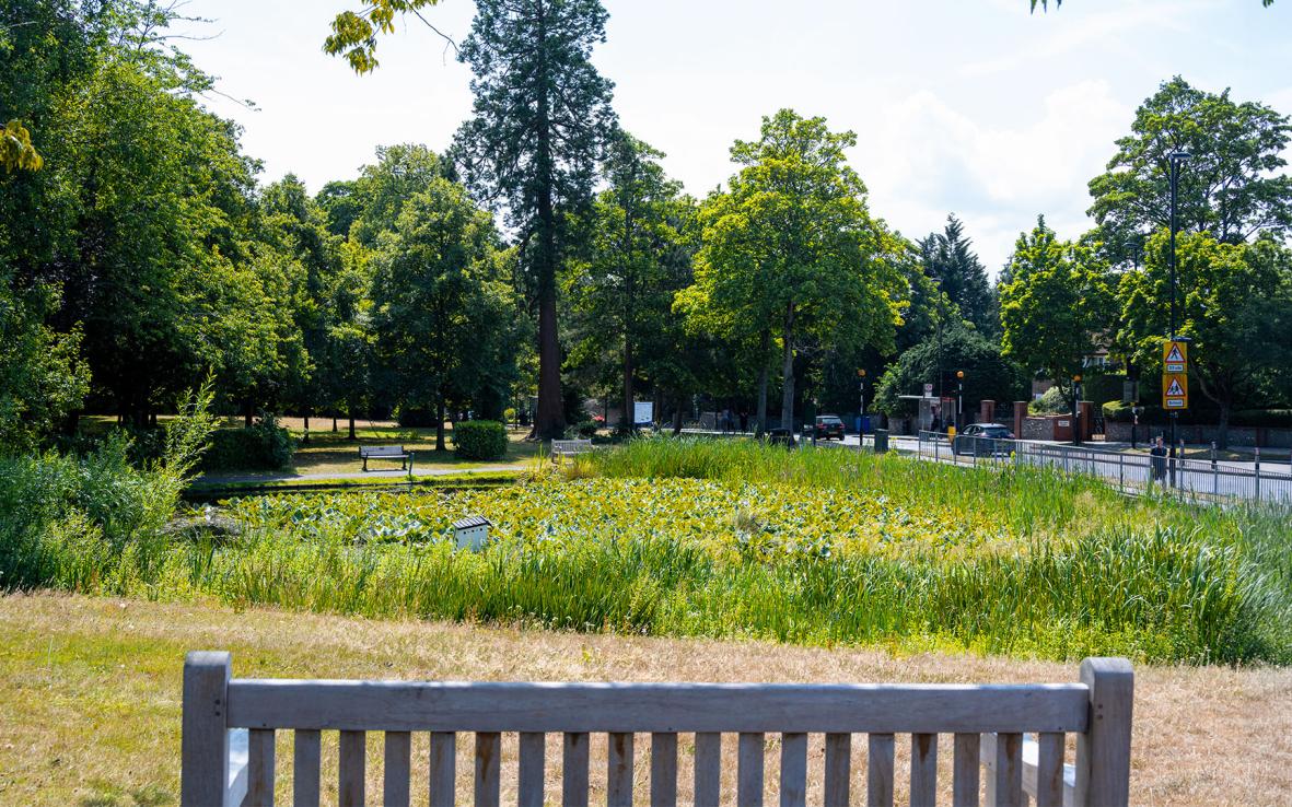 Local Area   Sanderstead