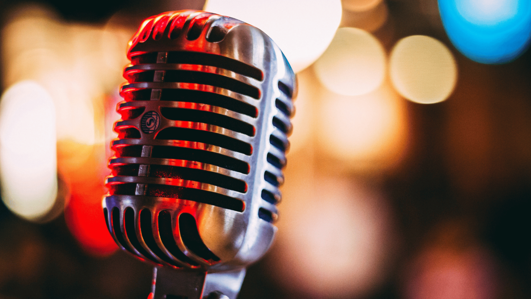 Microphone singer mic