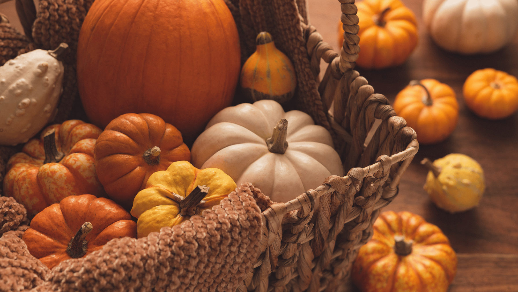 Pumpkins basket autumn fayre