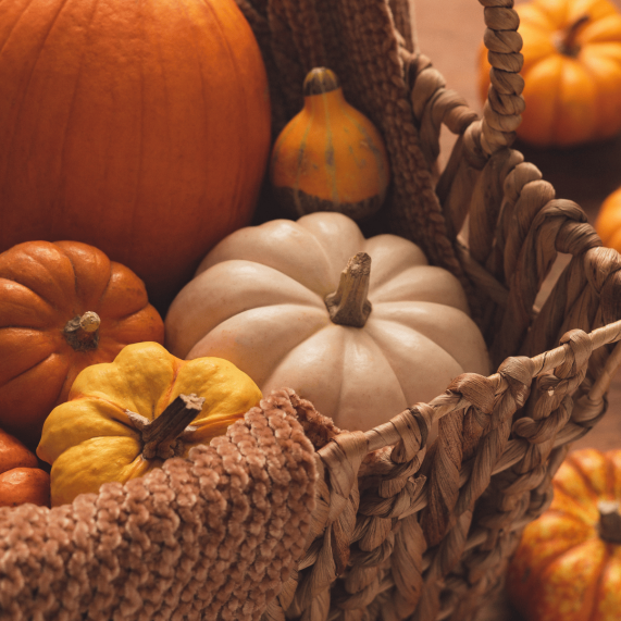 Pumpkins basket autumn fayre