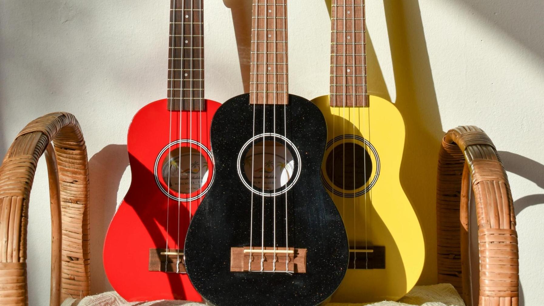 Ukulele guitar 2
