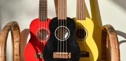 Ukulele guitar 2