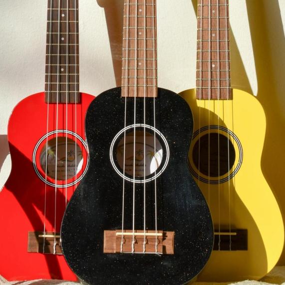 Ukulele guitar 2
