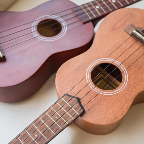 Ukulele guitars 3