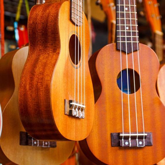 Ukulele guitars