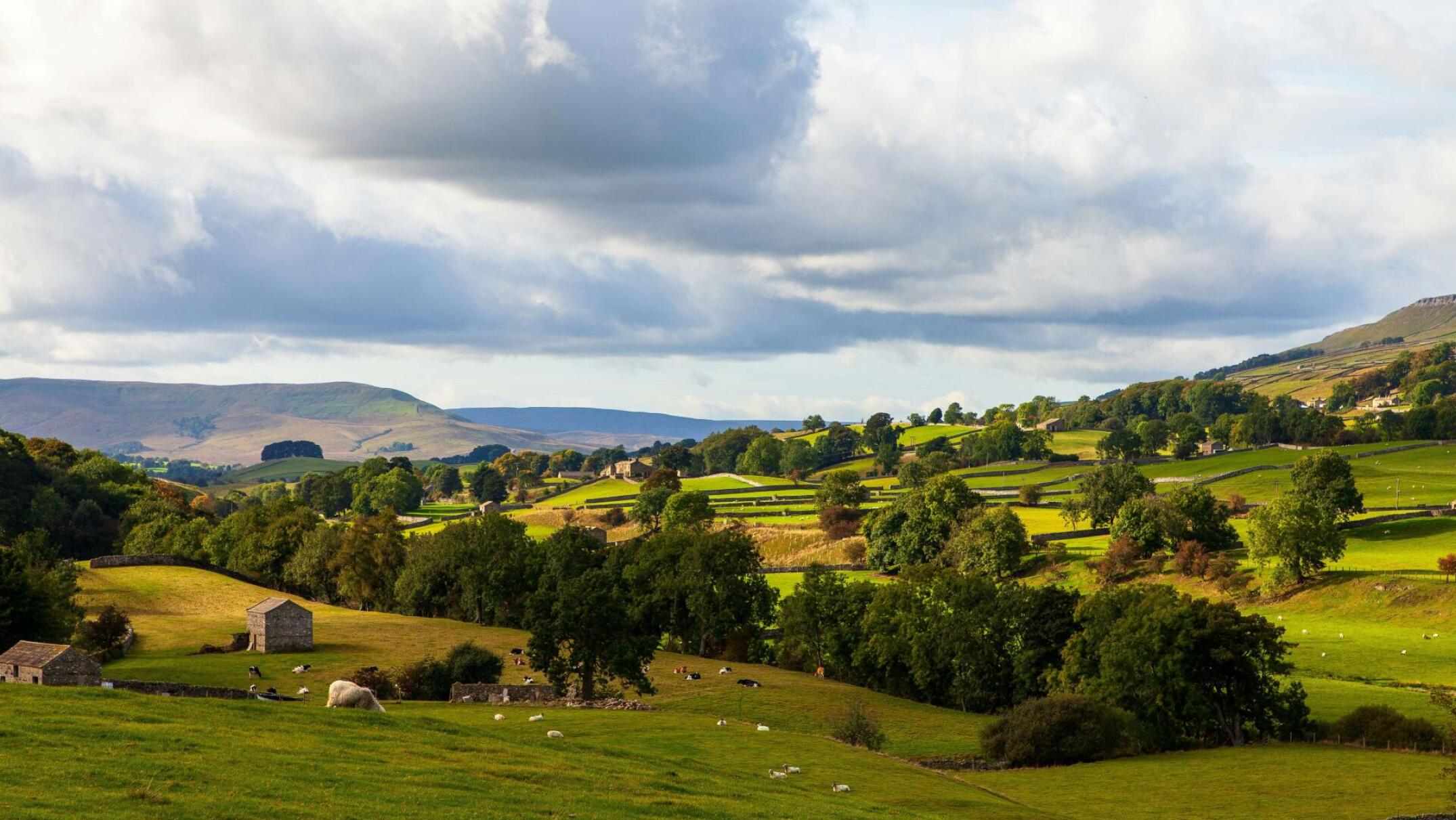 darren richardson heEtSHWryxc unsplash