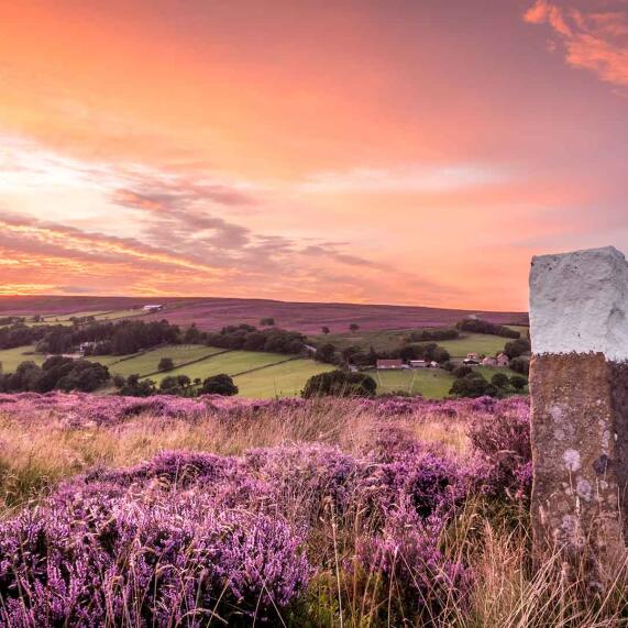 North Yorkshire 1920x1080