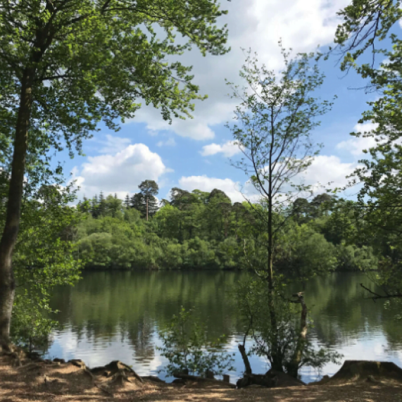 black country park 1