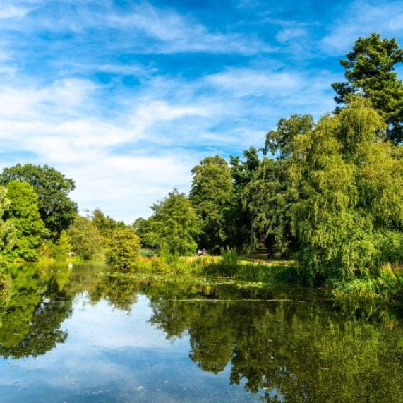 iStock 1214377410 Middlesex Botanic Gardens 800x500