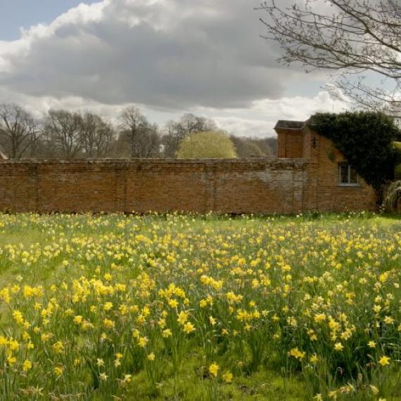 iStock 172777203 West Midlands Packwood House 800x500