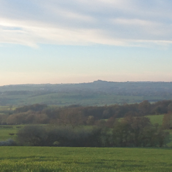 surrey hills box 1