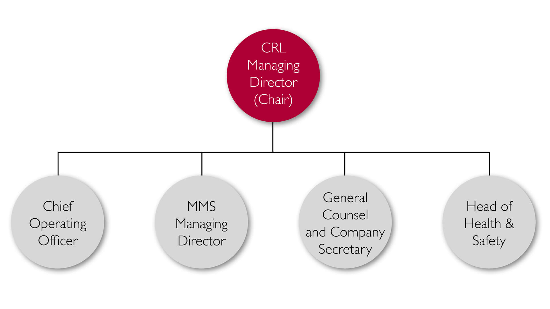 MMS steering group