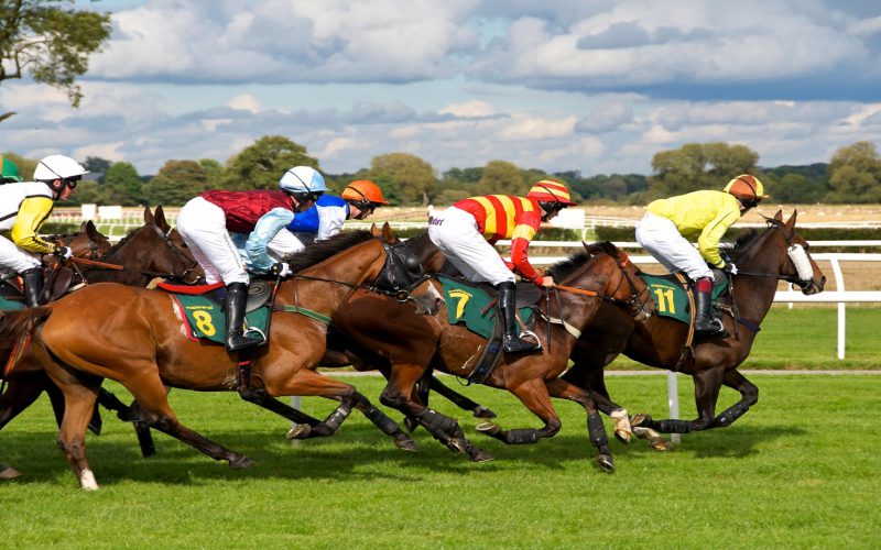 Horse Racing
