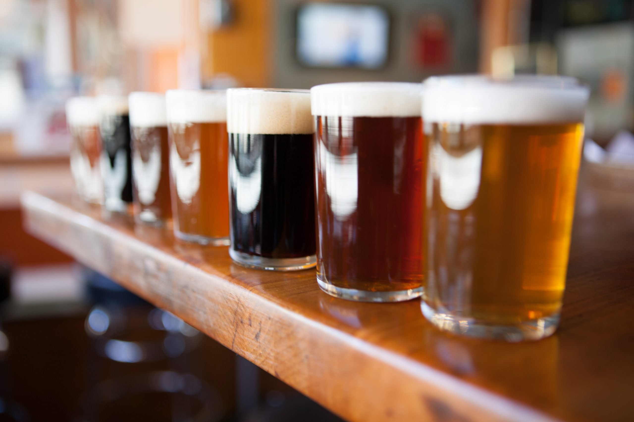 Row of different beers in glasses on a wooden bar