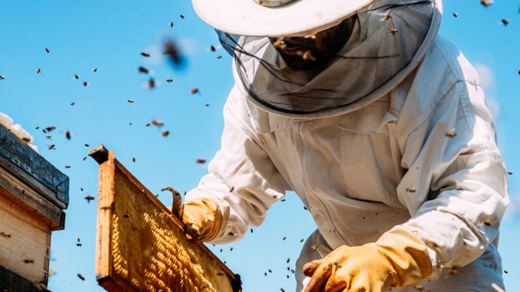 Beekeeping Colebrooke Lodge