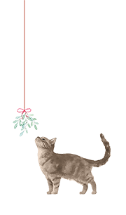 Cat&mistletoe