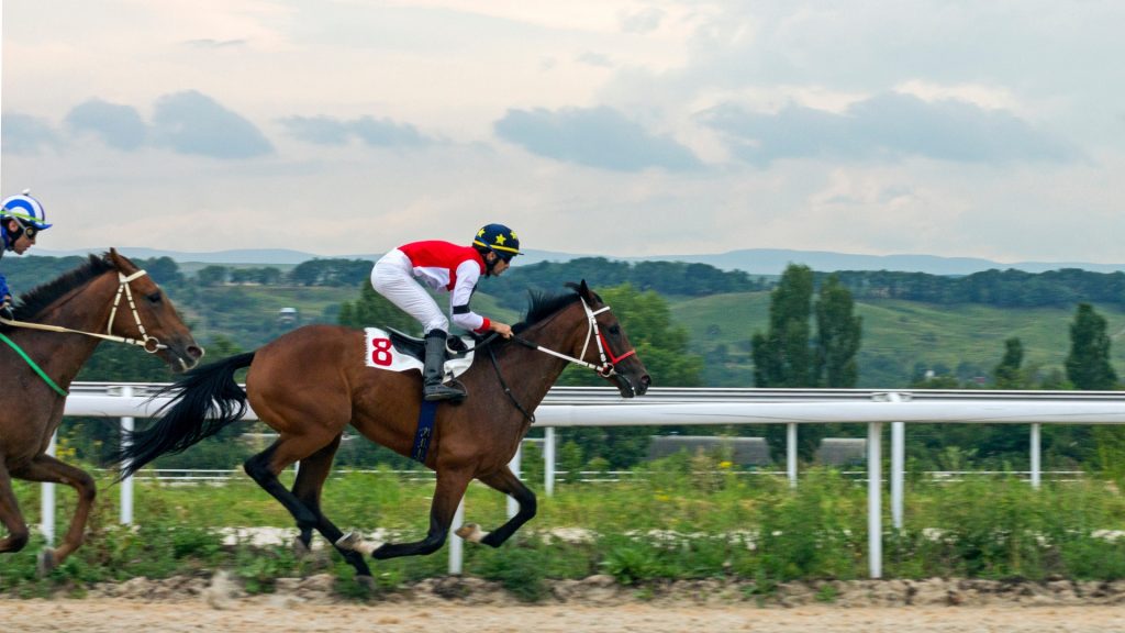 Horse Race 1920x1080